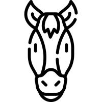 cheval cheval